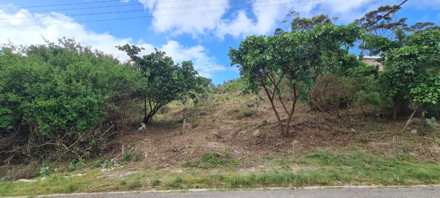  Bedroom Property for Sale in Sedgehill Western Cape
